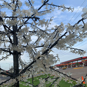 árbol de luces LED